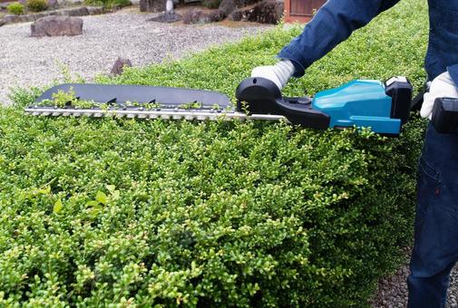 生垣・植込み刈込 生垣・植込み刈込