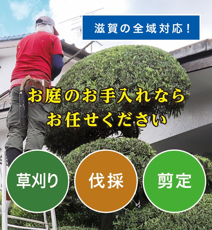 甲良町で草刈り・剪定・伐採なら「お庭の大将」 甲良町で草刈り・剪定・伐採なら「お庭の大将」